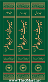 Seerat e Sarwar e Alam 3 volume