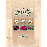 Syed Maudoodi Bachpan, Jawani, Burhapa